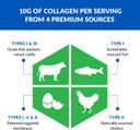 Biotrust Collagen Powder With Turmeric  5 Types (I, Ii, Iii, V, X)  Turmeric Collagen Powder For Women & Men  Hydrolyzed Protein  Grass Fed Beef, Fish, Chicken, Eggshell Membrane (Golden Milk)
