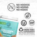 Sunwarrior Vegan Collagen Protein Powder Plant-Based | Hyaluronic Acid Minerals Biotin Soy Free Dairy Free Gluten Free Non-Gmo | Churro 20 Servings | Collagen Building Peptides