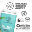 Sunwarrior Vegan Collagen Protein Powder Plant-Based | Hyaluronic Acid Minerals Biotin Soy Free Dairy Free Gluten Free Non-Gmo | Chocolate 40 Servings | Collagen Building Peptides