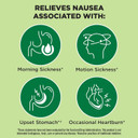 From The Makers Of Dramamine, Advanced Herbals, Nausea And Stress Support With Ginger And Ashwagandha, Tropical Fruit And Ginger Flavored Lozenges, 20 Ct