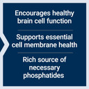Life Extension Lecithin, Promotes Healthy Cell Structure And Function In The Brain, Gluten Free, Non-Gmo, Vegetarian, 454 Grams