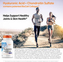 Doctor'S Best Hyaluronic Acid With Chondroitin Sulfate, Featuring Biocell Collagen, Non-Gmo, Gluten Free, Soy Free, Joint Support, 180 Count (Pack Of 1)