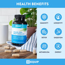 Equip Foods Grass-Fed Beef Organs - Grass Fed Beef Organ Supplement - Support Heart, Kidney & Spleen Health, Detox & Digestion, Vitality & Metabolism - Hormone, Antibiotic And Gmo Free - 120 Capsules