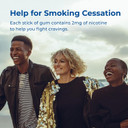 Rite Aid Nicotine Gum, Coated Cinnamon Flavor, 2 Mg - 100 Count | Quit Smoking Aid | Nicotine Replacement Gum