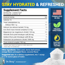 Dr. Berg Zero Sugar Hydration Keto Electrolyte Powder - Enhanced W/ 1000 Mg Of Potassium & Real Pink Himalayan Salt (Not Table Salt) - Tropical Coconut, Pineapple & Orange Drink Supplement 50 Servings
