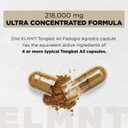 228,000Mg 200X Strength Tongkat Ali For Men W. 30X Fadogia Agrestis Extract - 10% Eurycomanone Highest Potency Longjack Fadogia Agrestis Tongkat Ali Supplement - Muscle Growth Support Pills For Men