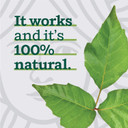 Marie Originals Poison Ivy Soap Bar  100% All Natural Triple Acting Formula  Anti Itch Treatment For Poison Ivy, Poison Oak And Sumac  Removes Oils, Soothes And Relives Rashes - 2.9Oz (Pack Of 2) Marie Originals Poison Ivy Soap Bar  100% All Natural Triple Acting Formula  Anti Itch Treatment For Poison Ivy, Poison Oak And Sumac  Removes Oils, Soothes And Relives Rashes - 2.9Oz (Pack Of 2)