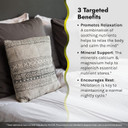 Irwin Naturals Power To Sleep Pm - 120 Liquid Soft-Gels - With Melatonin, Gaba, Ashwagandha, Valerian Root & L-Theanine - 60 Servings