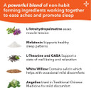 Lifeseasons Relieve-R Pm - Eases Nighttime Aches & Discomfort - Relaxes Muscles - Calms The Nervous System - Supports Natural Sleep Cycles & Non Habit Forming - 46 Capsules