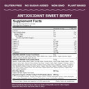 Amazing Grass Greens Superfood Antioxidant: Greens Powder With Organic Spirulina, Beet Root Powder, Elderberry & Probiotics, Sweet Berry, 30 Servings (Packaging May Vary)