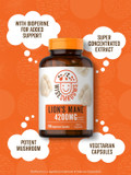 Carlyle Lions Mane Supplement Capsules 4200 Mg | 150 Count | Vegetarian, Non-Gmo, Gluten Free | Wiseshrooms