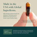 Gaia Herbs Metabolic Activator - Natural Energy Supplement For Metabolism Support - Made With Panax Notoginseng & Astragalus Extract - Free From Dairy, Soy & Gluten - 60 Capsules (60 Servings)