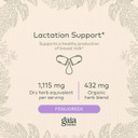 Gaia Herbs Lactation Support - Supports Healthy Milk In Nursing Mothers* - Fenugreek And Fennel Seed - 120 Vegan Liquid Phyto-Capsules (40-Day Supply)