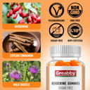 Berberine Supplement Gummies 1200Mg, Sugar Free Berberine With Ceylon Cinnamon, Milk Thistle, Immune Function Support, 60 Organic Gummies For 1 Month Supply