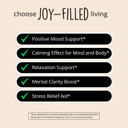Joy-Filled Mood Support Supplement With St. Johns Wort | Stress Relief Supplement - Helps Calm The Mind & Body | 100% Plant-Based, Ashwagandha, Rhodiola Rosea, Eleuthero | Herbal, 60 Ct