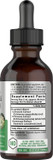 Horbã£Â¤Ach Echinacea Goldenseal Liquid Extract | 2 Fl Oz | Alcohol Free Tincture Drops | Vegetarian, Non-Gmo, Gluten Free