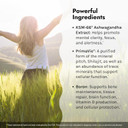 Irwin Naturals Liquid Quick-Delivery Ashwagandha Mind & Body - 10 Liquid-Tubes - Boosts Physical & Mental Performance - One-Per-Day Berry-Citrus Flavored Drink Mix