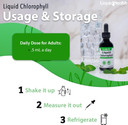 Liquidhealth Liquid Chlorophyll Drops - Internal Deodorizer, Liver Detox, Immune Support, Stop Bad Breath, Reduce Appetite, Vegan, Non-Gmo (2 Oz)