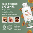 Maryruth'S Reishi Mushroom Supplement |Ultra Absorption Liposomal | Immune Support Supplement | Full Spectrum | 200Mg Beta-Glucans Per Serving | Vegan | 7.6 Oz | 15 Servings