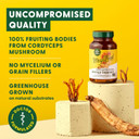 Megafood Superfood Mushroom Energy Support - Cordyceps Mushroom Supplement With Methylated B12 Vitamins & Panax Ginseng - Doctor Formulated, Gluten-Free, Vegan - 60 Capsules, 30 Servings