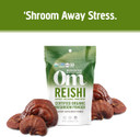 Om Mushroom Superfood Reishi Organic Mushroom Powder, 3.5 Ounce, 50 Servings, Adaptogen, Stress & Immune Support, Superfood Mushroom Supplement