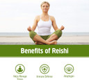 Om Mushroom Superfood Reishi Organic Mushroom Powder, 3.5 Ounce, 50 Servings, Adaptogen, Stress & Immune Support, Superfood Mushroom Supplement
