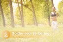 Pure Original Ingredients Goldenseal Berberine, Always Pure, No Additives Or Fillers, Lab Verified (100 Count)