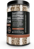 Pure Original Ingredients Turkey Tail Mushroom (730 Capsules) No Magnesium Or Rice Fillers, Always Pure, Lab Verified