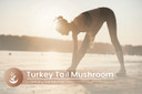 Pure Original Ingredients Turkey Tail Mushroom, (100 Capsules) Always Pure, No Additives Or Fillers, Lab Verified