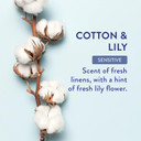 Native Sensitive Deodorant | Natural Deodorant For Women And Men, Aluminum Free, Baking Soda Free, Phthalate Free, Talc Free, Coconut Oil And Shea Butter | Cotton & Lily (Sensitive)