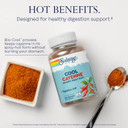 Solaray Cool Cool Cayenne 40,000 Hu, Healthy Digestion, Circulation, & Cardiovascular Support 180 Vegcaps