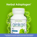Vh Nutrition Ginkgo Biloba | 550Mg Standardized Extract Supplements | Cognitive And Memory Support* | Boost Mental Clarity And Focus | Brain Health Supplement | 60 Capsules
