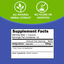 Vh Nutrition Ginkgo Biloba | 550Mg Standardized Extract Supplements | Cognitive And Memory Support* | Boost Mental Clarity And Focus | Brain Health Supplement | 60 Capsules