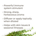 Plant Therapy Thyme Thymol Essential Oil 100% Pure, Undiluted, Natural Aromatherapy, Therapeutic Grade 10 Milliliter (1/3 Ounce)