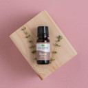 Plant Therapy Thyme Thymol Essential Oil 100% Pure, Undiluted, Natural Aromatherapy, Therapeutic Grade 10 Milliliter (1/3 Ounce)