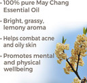 Plant Therapy May Chang (Litsea Cubeba) Essential Oil 30 Ml (1 Oz) 100% Pure, Undiluted, Therapeutic Grade