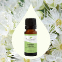 Plant Therapy Lemon Myrtle Essential Oil 10 Ml (1/3 Oz) 100% Pure, Undiluted, Therapeutic Grade