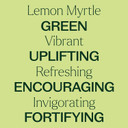 Plant Therapy Lemon Myrtle Essential Oil 10 Ml (1/3 Oz) 100% Pure, Undiluted, Therapeutic Grade