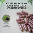 Quantum Health Black Elderberry Supplement Sambucus Nigra Extract 400Mg Daily Immune Support & Wellness Boost Of Powerful Antioxidants For Women & Men - 60 Capsules