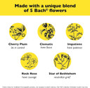 Rescue Bach Pastilles, Orange And Elderflower Flavor, Natural Stress Relief Lozenges, Homeopathic Flower Essence, Vegetarian, Gluten And Sugar-Free, 6-Pack