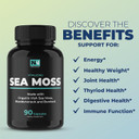 Irish Sea Moss Capsules | With Organic Irish Moss, 300Mg Burdock Root & 500Mg Bladderwrack Powder | 45-Day Supply | 1300Mg Complex | Provides Iodine For Thyroid & Immune Support | 90 Veggie Pills