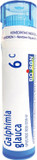 Boiron Galphimia Glauca 6C, 80 Pellets, Homeopathic Medicine For Hay Fever