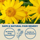 Arnica Montana 30X Hpus, Clinical Grade, Quick Dissolve Tablets, Five-Day Recovery Pack For Pain And Bruise Relief After Surgery Or Injury, Natural Healing, Gentle On The Stomach - 30 Count