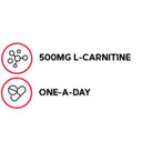 Gnc Gentlesorb Iron 18Mg | Required For Proper Red Blood Cell Formation | Gentle Formula | 90 Count