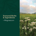 Gaia Herbs Pro Magnesium Glycinate 400 - Sleep Support & Stress Relief - Aids Against Nervousness - With Magnesium & Vegetable Stearin - 180 Capsules (60 Servings)