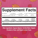 Maryruth Organics Strawberry Lemon Ionic Zinc, 4 Fz Maryruth Organics Strawberry Lemon Ionic Zinc, 4 Fz