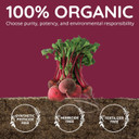 Organic Beet Root Capsules [1,300Mg Superfood] - Blood Pressure Support Supplements, Beet Root Powder - Nitric Oxide Supplement, Blood Flow & Blood Circulation | Antioxidant, Brain Food | Vegan, 60 Ct