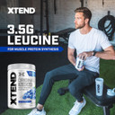 Xtend Original Bcaa Powder 7G Bcaa And 2.5G L-Glutamine, Sugar Free Post Workout Muscle Recovery Drink With Amino Acids For Men & Women, 30 Servings