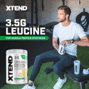 Xtend Original Bcaa Powder 7G Bcaa And 2.5G L-Glutamine, Sugar Free Post Workout Muscle Recovery Drink With Amino Acids For Men & Women, 30 Servings