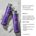 Alterna Caviar Anti-Aging Replenishing Moisture Conditioner | For Dry, Brittle Hair | Protects, Restores & Hydrates | Sulfate Free8.5 Fl Oz (Pack Of 1)
